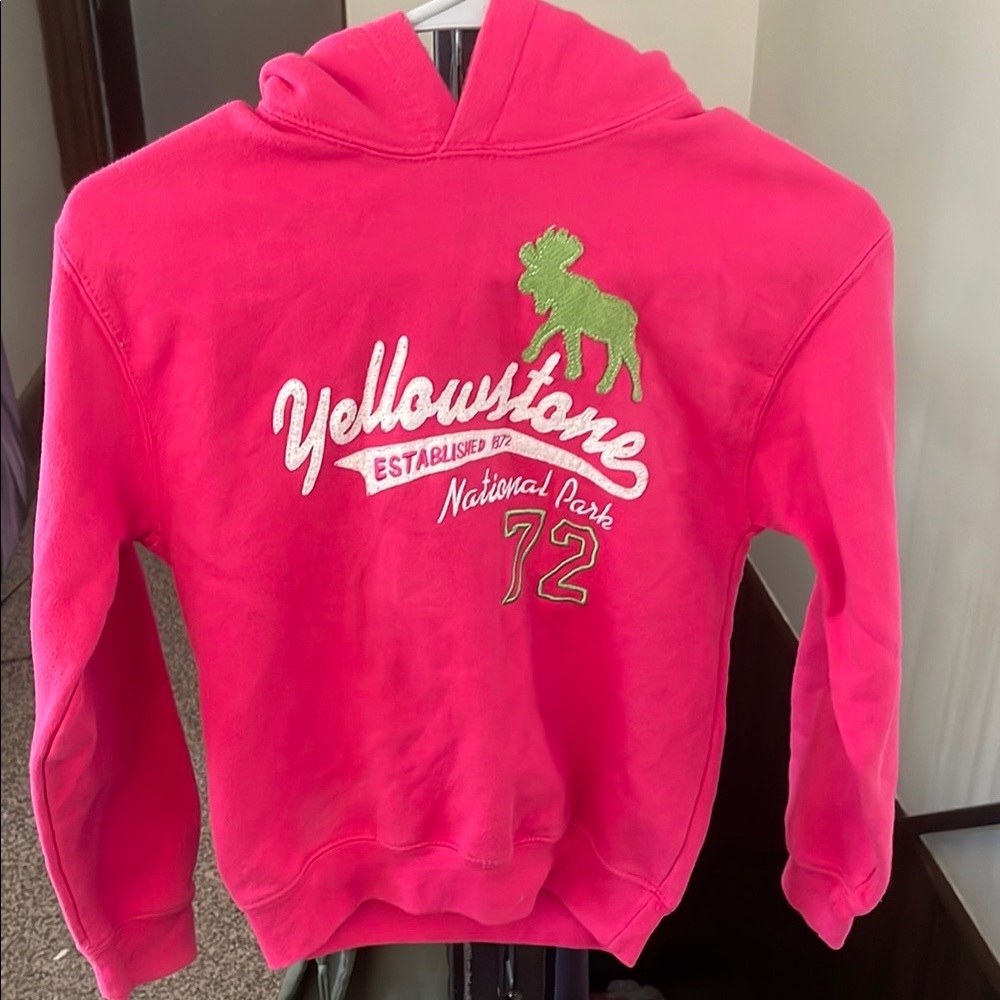 Kids Pink Yellowstone Hoodie